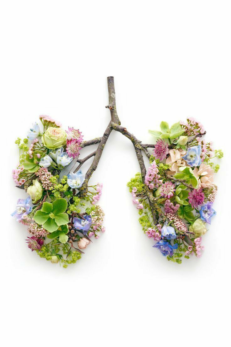 Дыхательная практика в 10:00