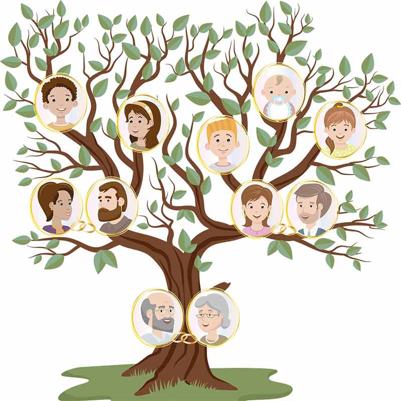 Седьмая вода на киселе. Или все о ваших родственниках