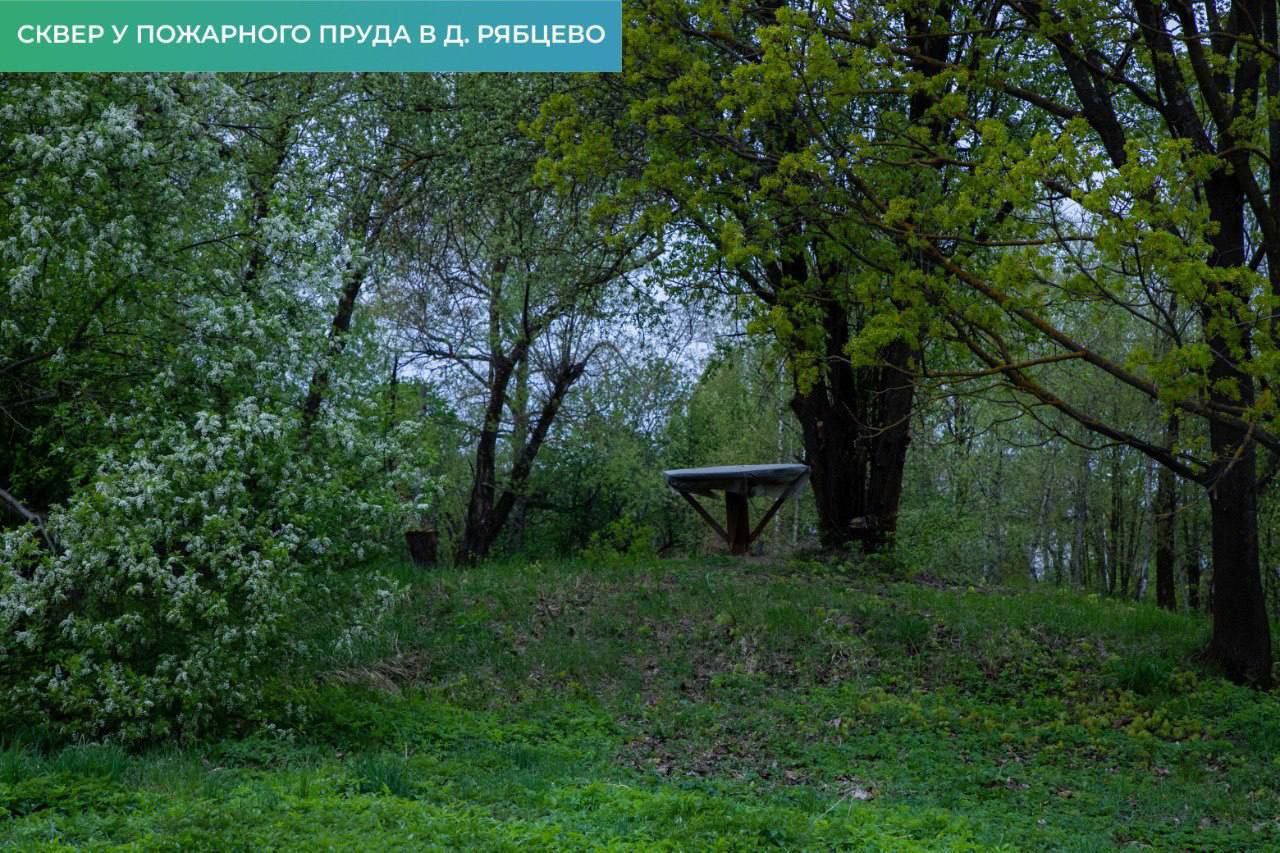 Голосование за территории для благоустройства в Домодедово