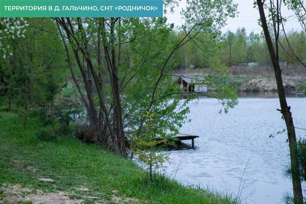 Голосование за территории для благоустройства в Домодедово