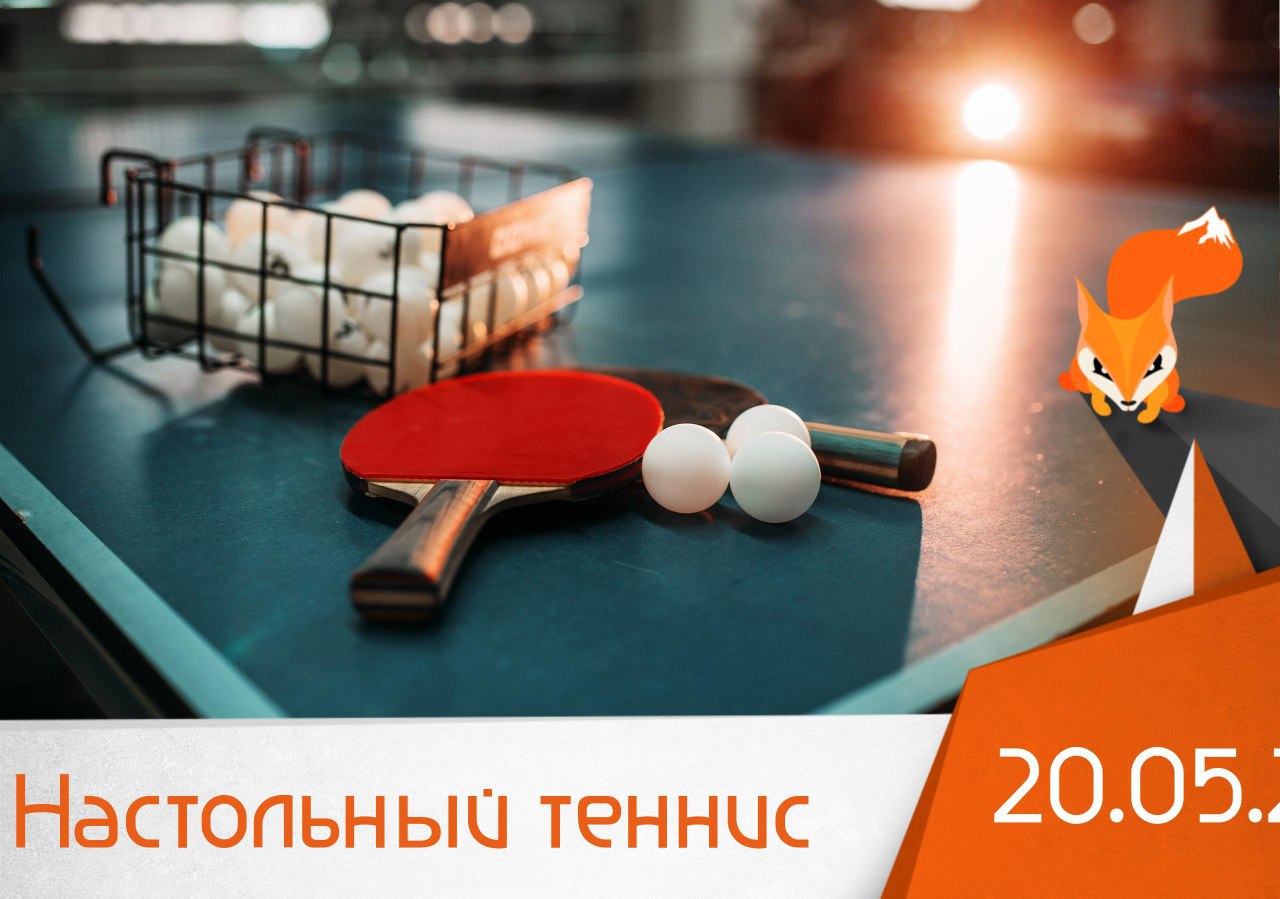 Настольный теннис 🏓