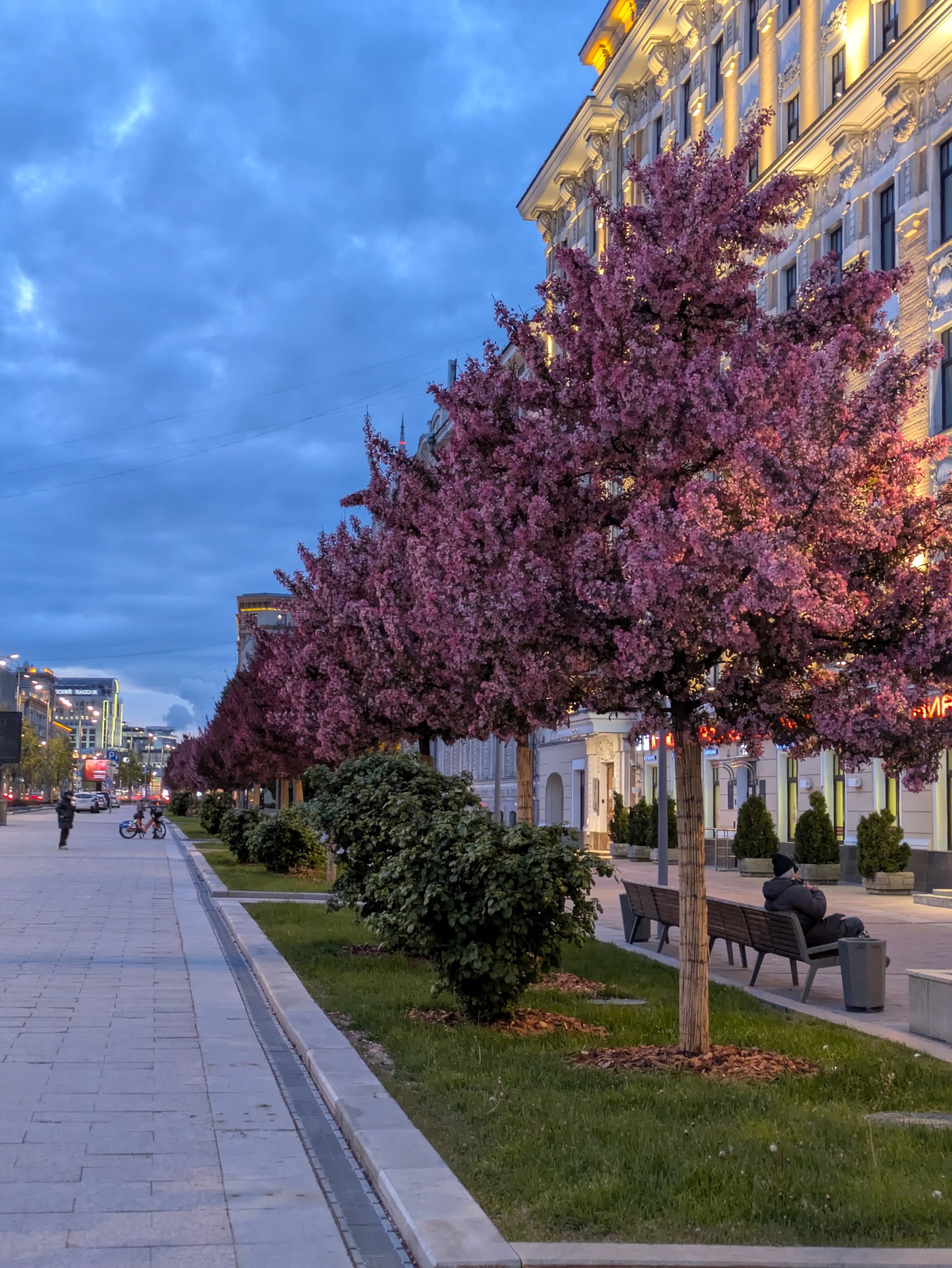 Детская покатушка с Палной