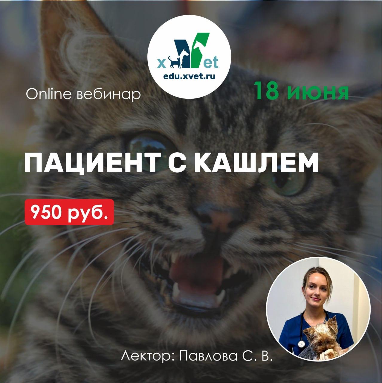 Вебинар "Пациент с кашлем"