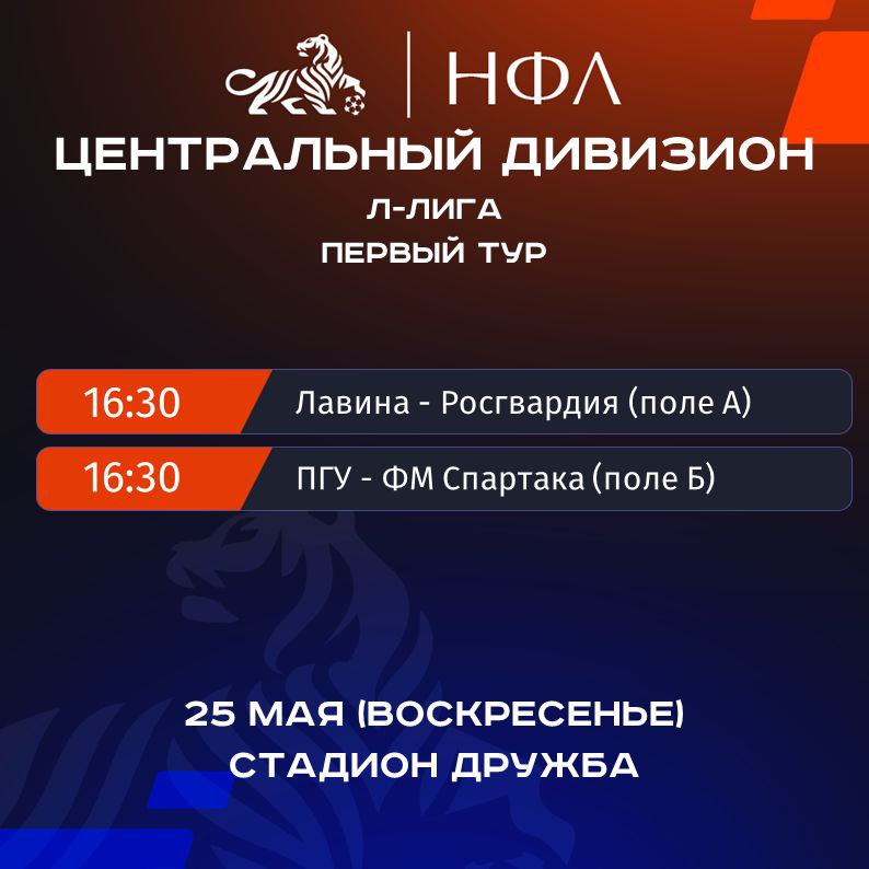 НФЛ - Второй тур