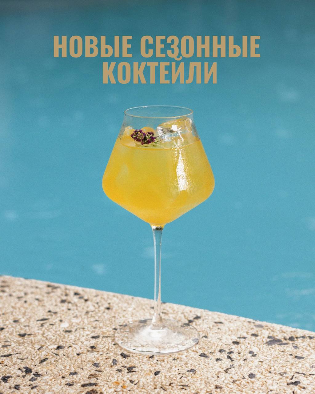 BBQ-party в Pine River