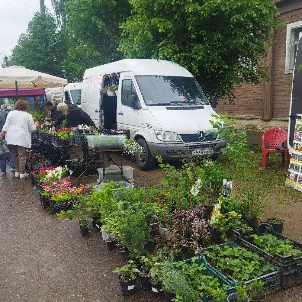 Ярмарка «На Николу летнего» в Нолинске