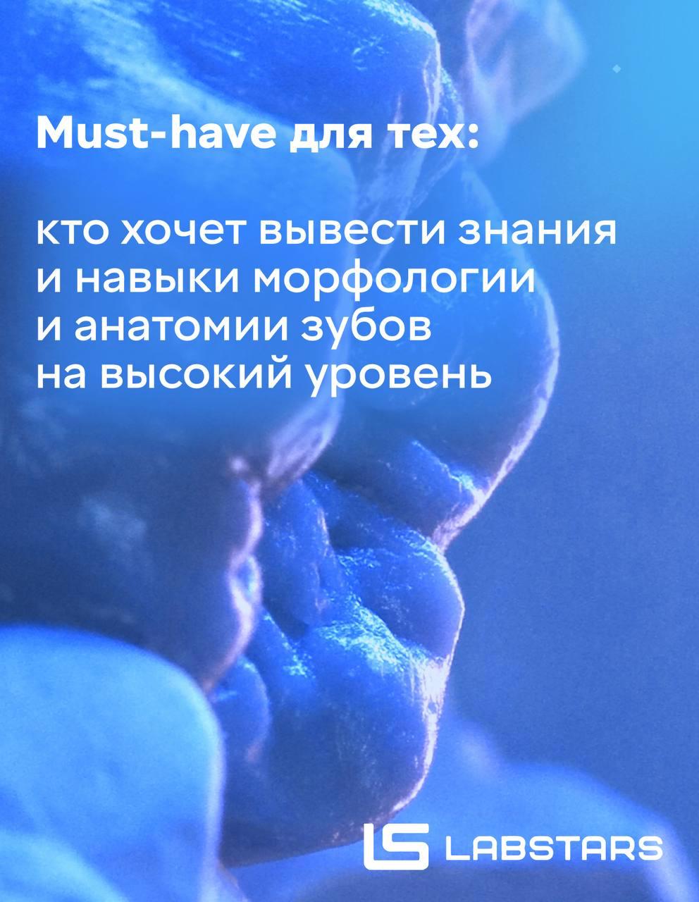 ВСЕ ДОРОГИ ВЕДУТ К АНАТОМИИ | месяц до курса по моделированию из воска