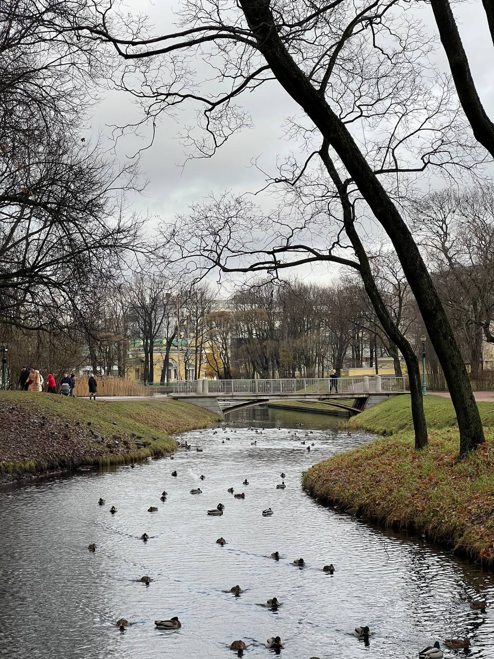 Идеи на выходные