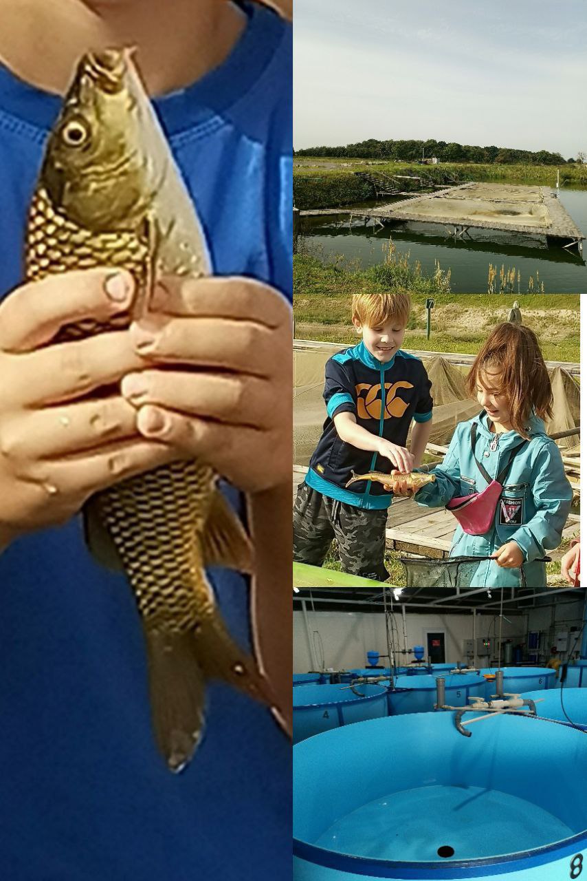 НОВАЯ ЭКСКУРСИЯ