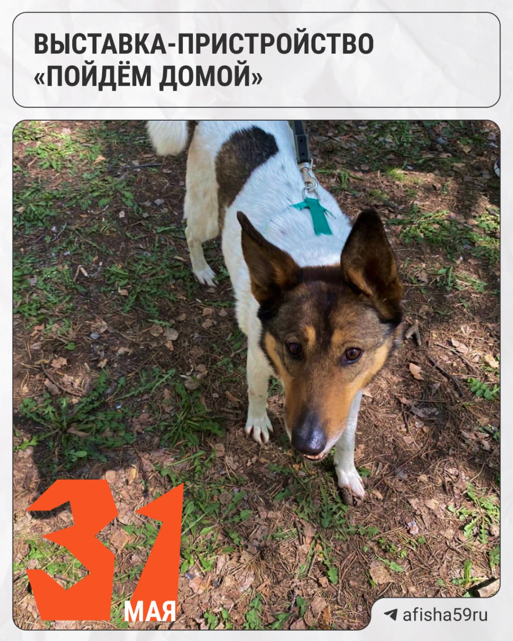 Милая выставка