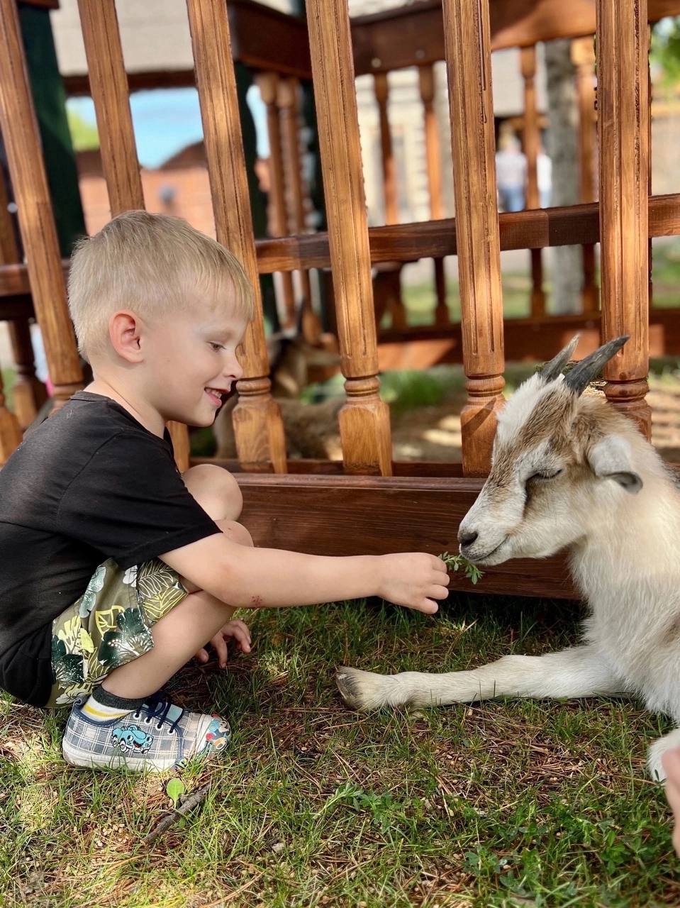 Летим на Луну 24 мая и 1 июня