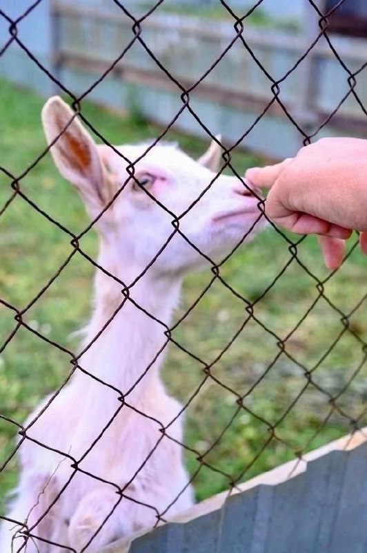 Летим на Луну 24 мая и 1 июня