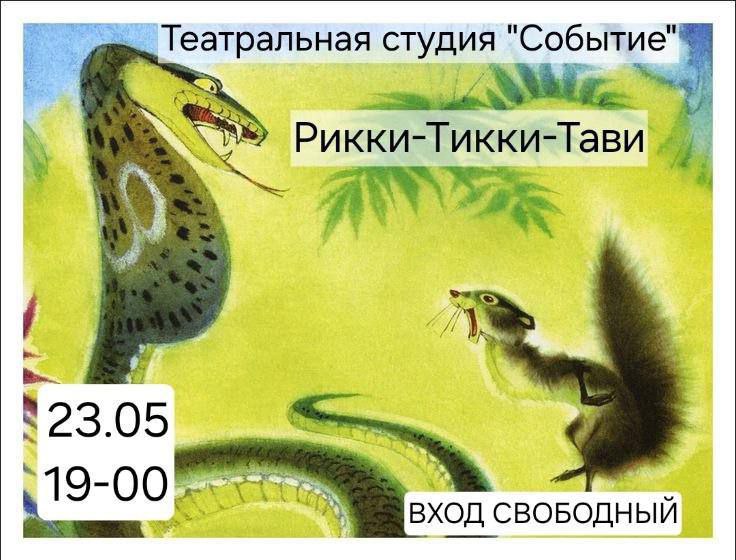 Спектакль о мангусте Рикки-Тикки-Тави в детской библиотеке № 31