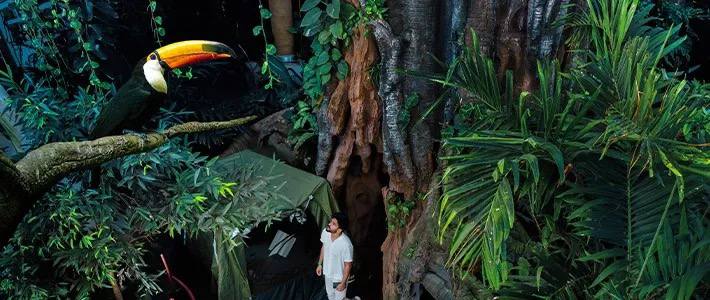 Ночь в тропиках: кемпинг в Green Planet