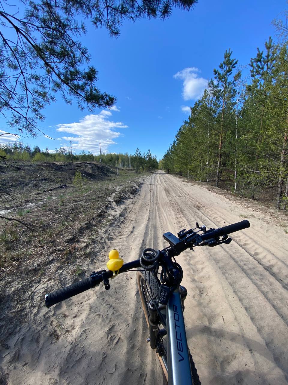 Анонс для фрилансеров 🙃