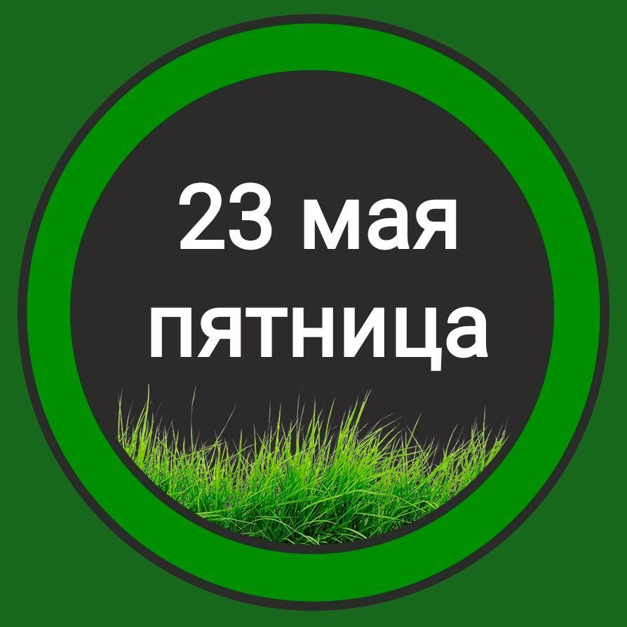 Анонс 23 мая (пятница)