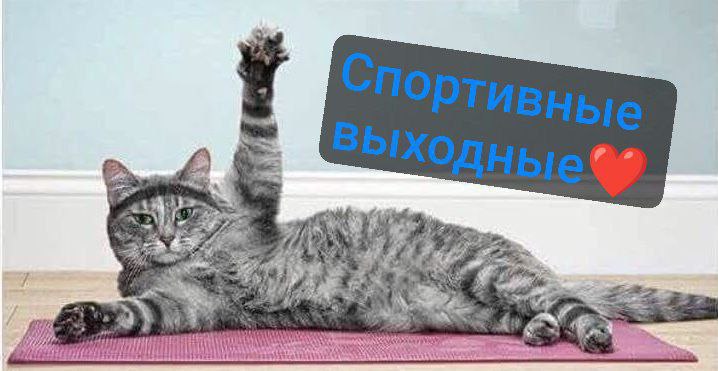 Афиша Выходных в Калининграде: 24 и 25 мая