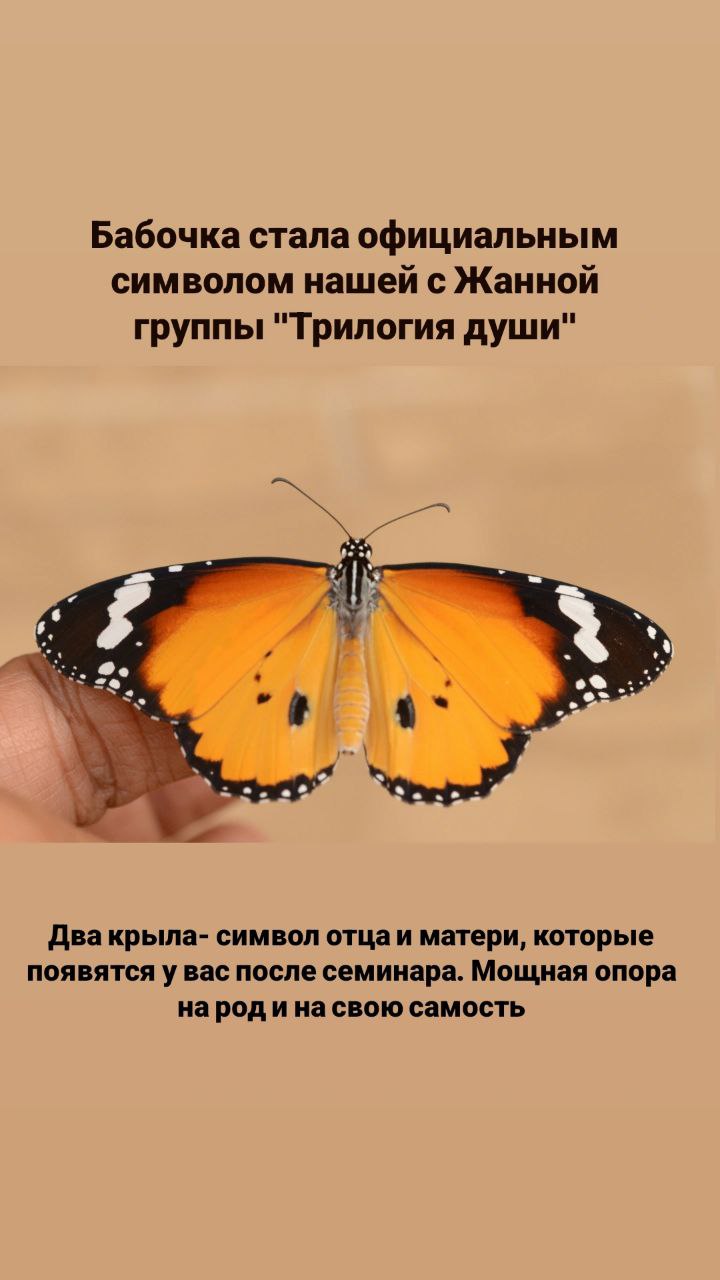 Трилогия души 🦋