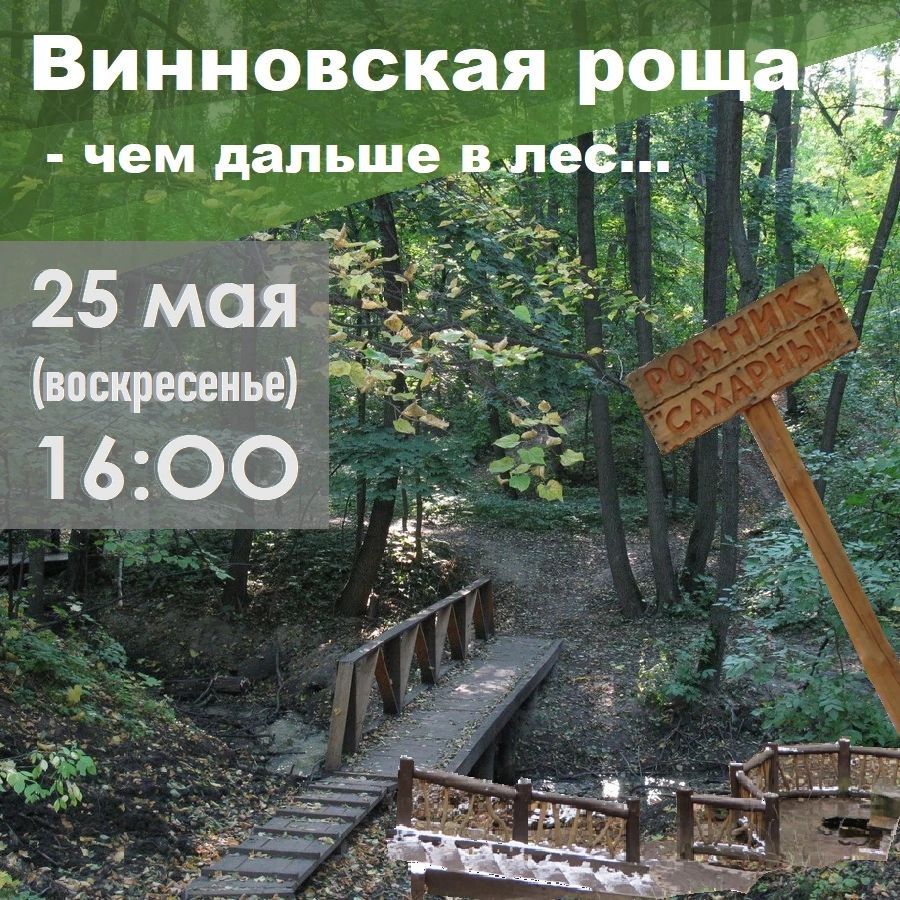 Винновка - чем дальше в лес...