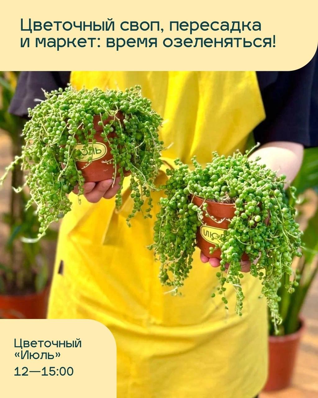 фестиваль "Расцветай"