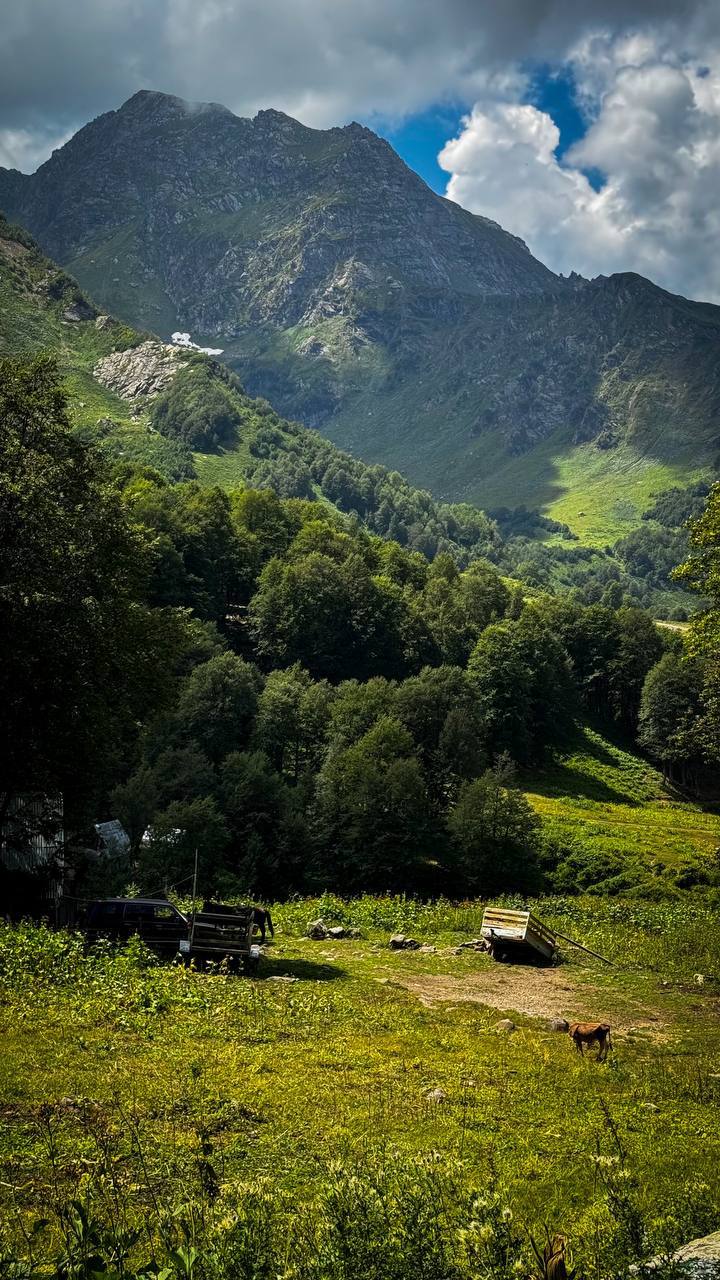 ГОРНАЯ АБХАЗИЯ