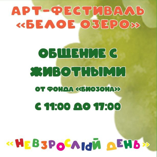 Фестиваль искусств в Белоозёрском, Подмосковье