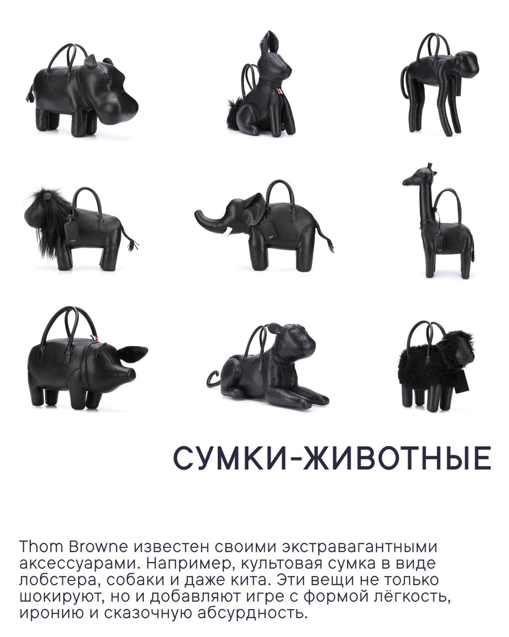 Том Браун: Скроить мечты