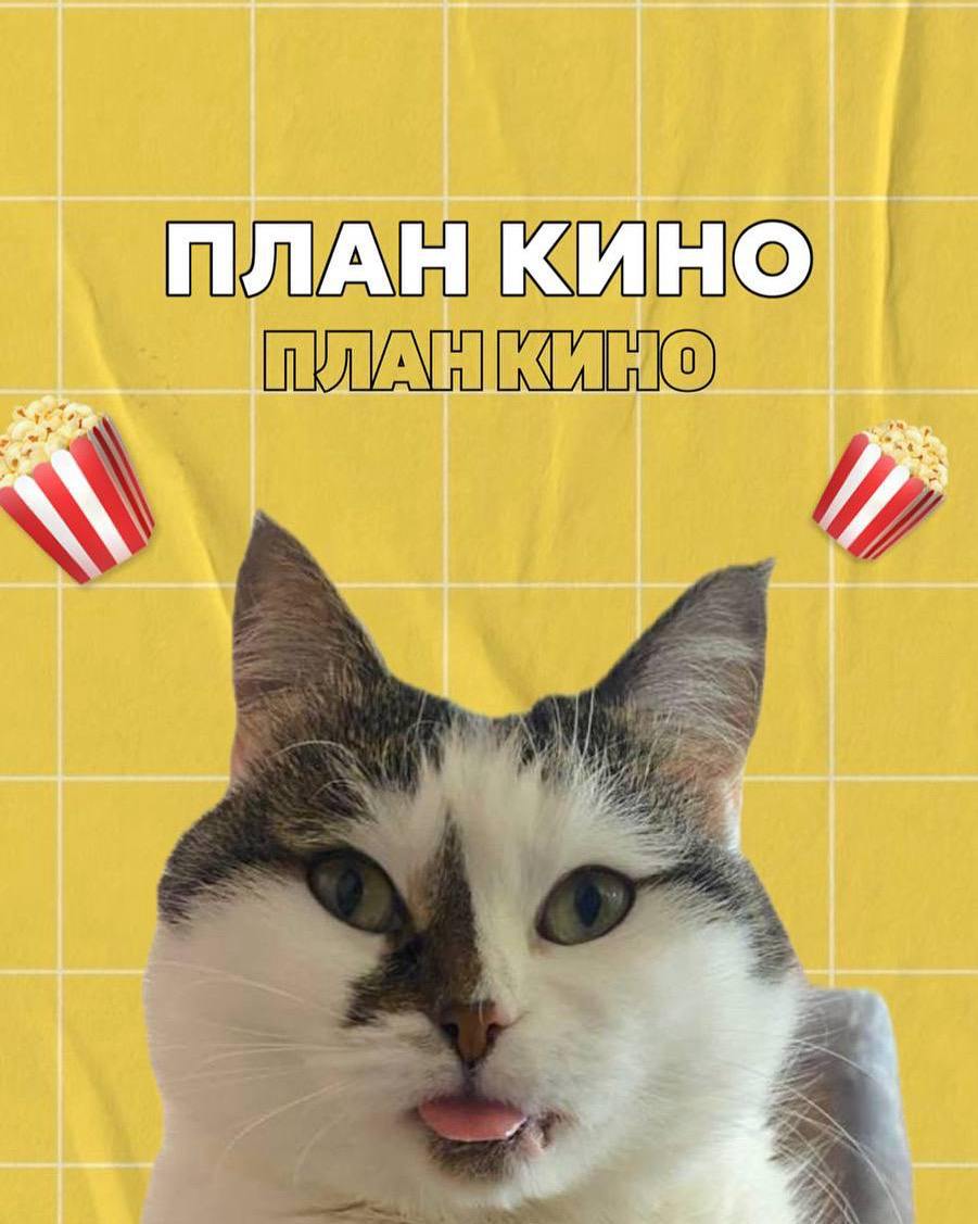 ПЛАН КИНО