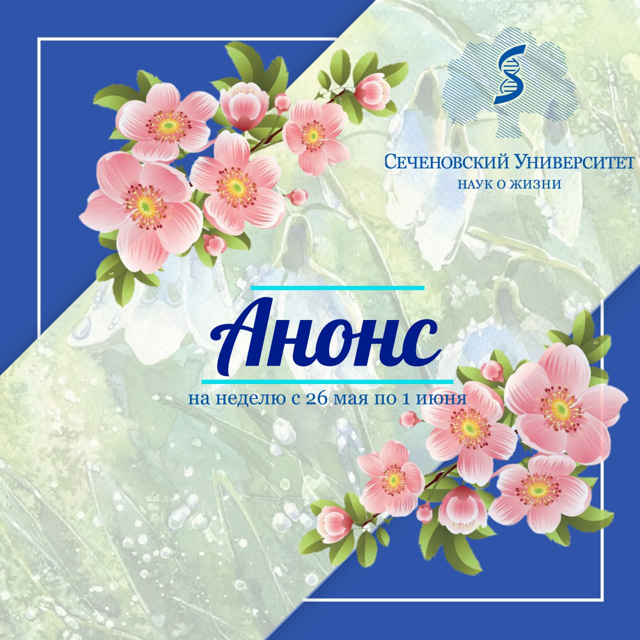 луна в мае 2025