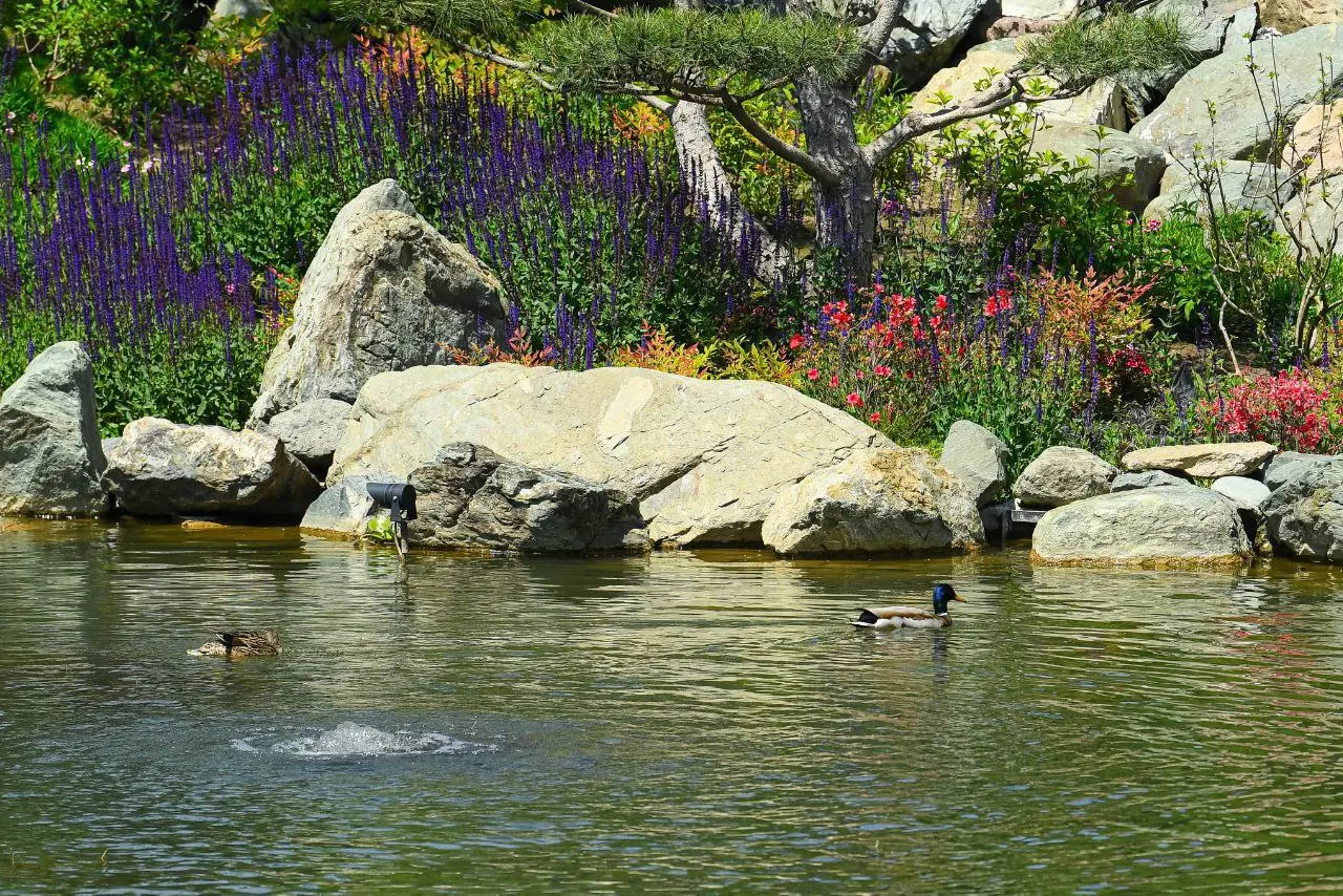 Фауна Японского сада