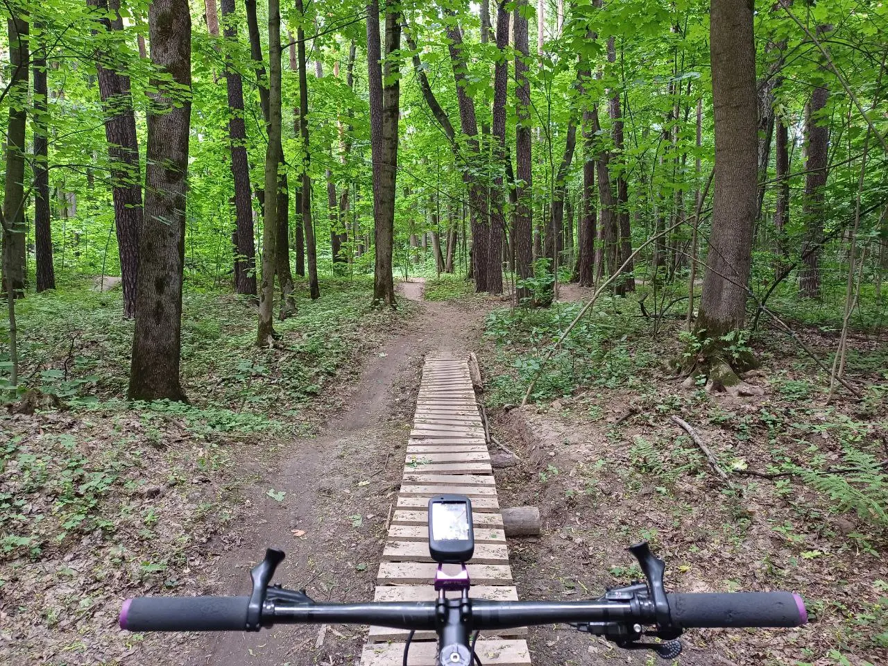 Бодрый ТимПарк