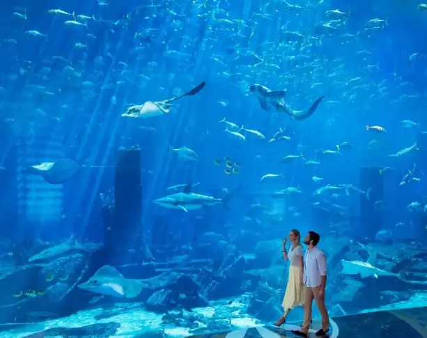 Легенда ОАЭ - Atlantis The Palm 5*