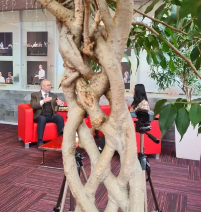 Ностальгия по Настоящему