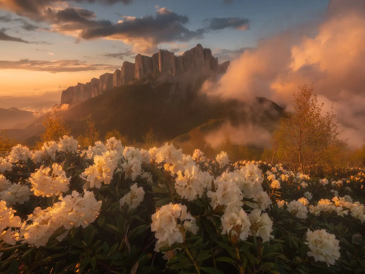 Поход-РЕТРИТ к горе Большой Тхач (Адыгея)