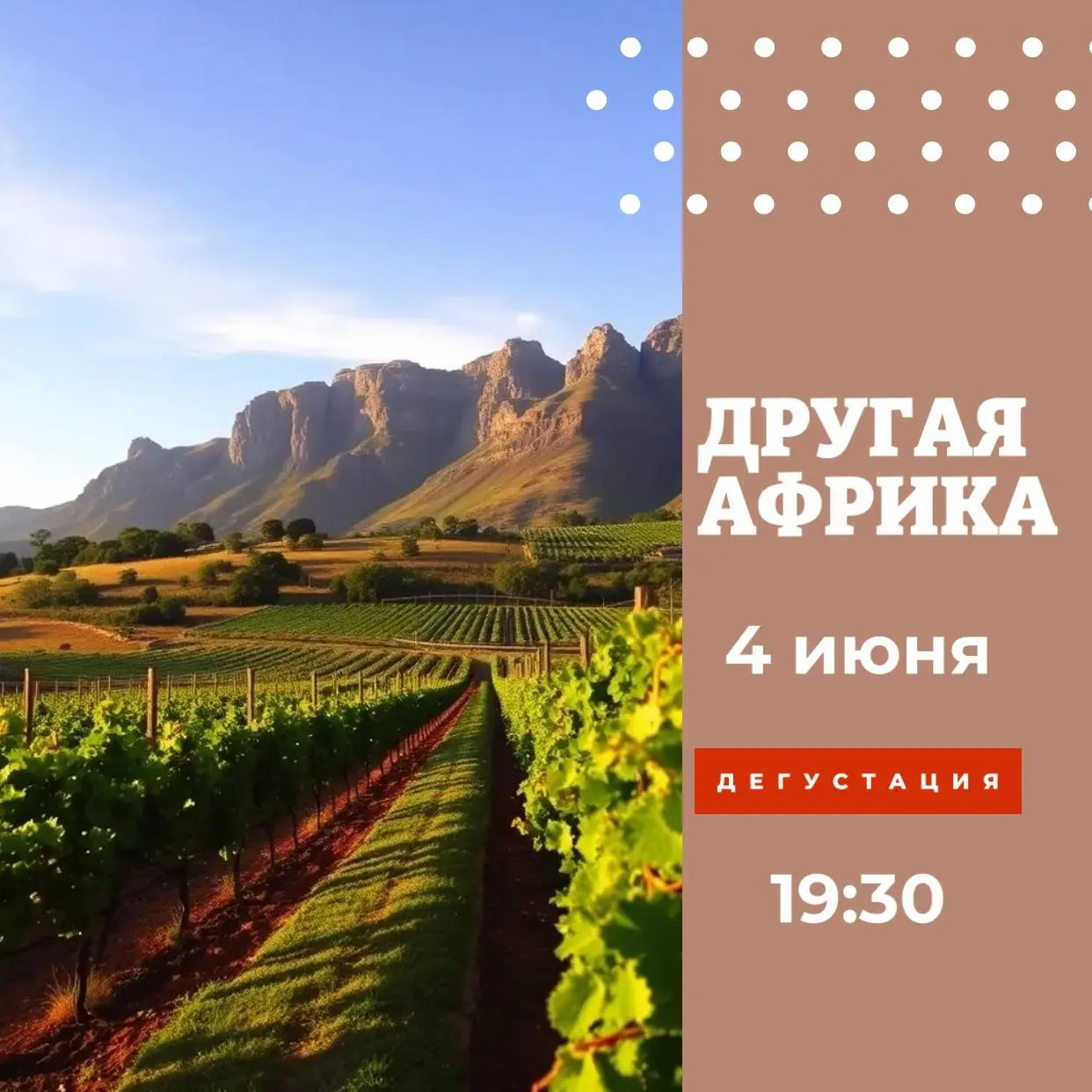 Дегустация «Другая Африка»