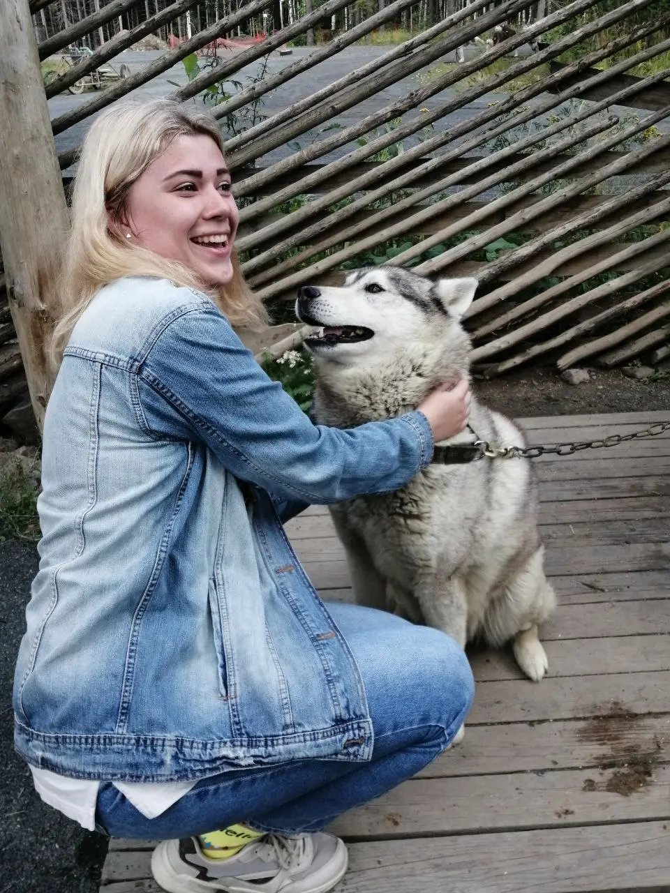 рисование котика