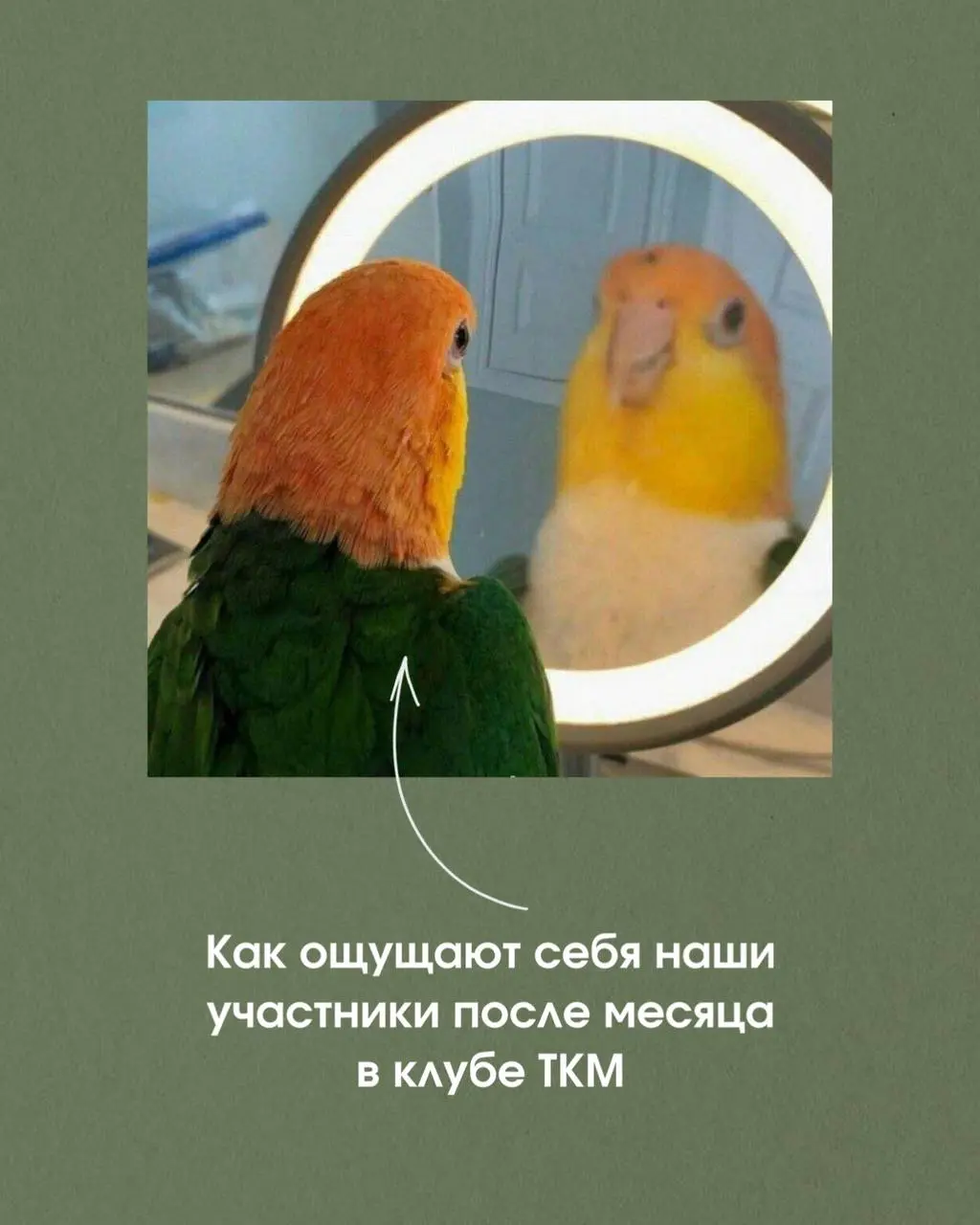 Открываем набор в клуб на июнь