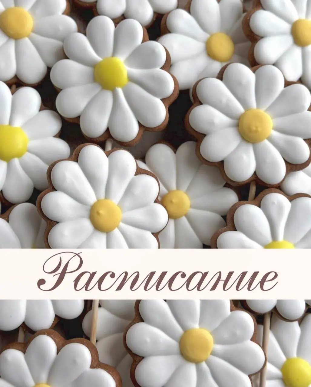 расписание на 26 мая - 1 июня
