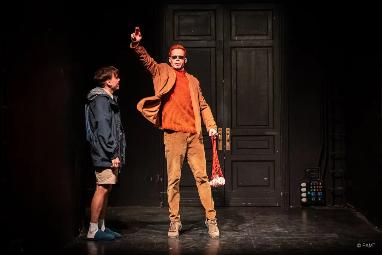 Спектакли и выступления на мероприятии