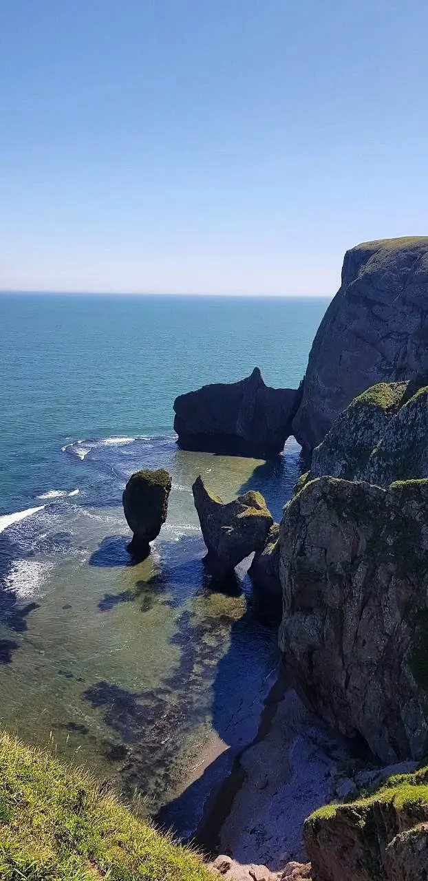 Тур по бухте Дубовая и мысу Черепахи
