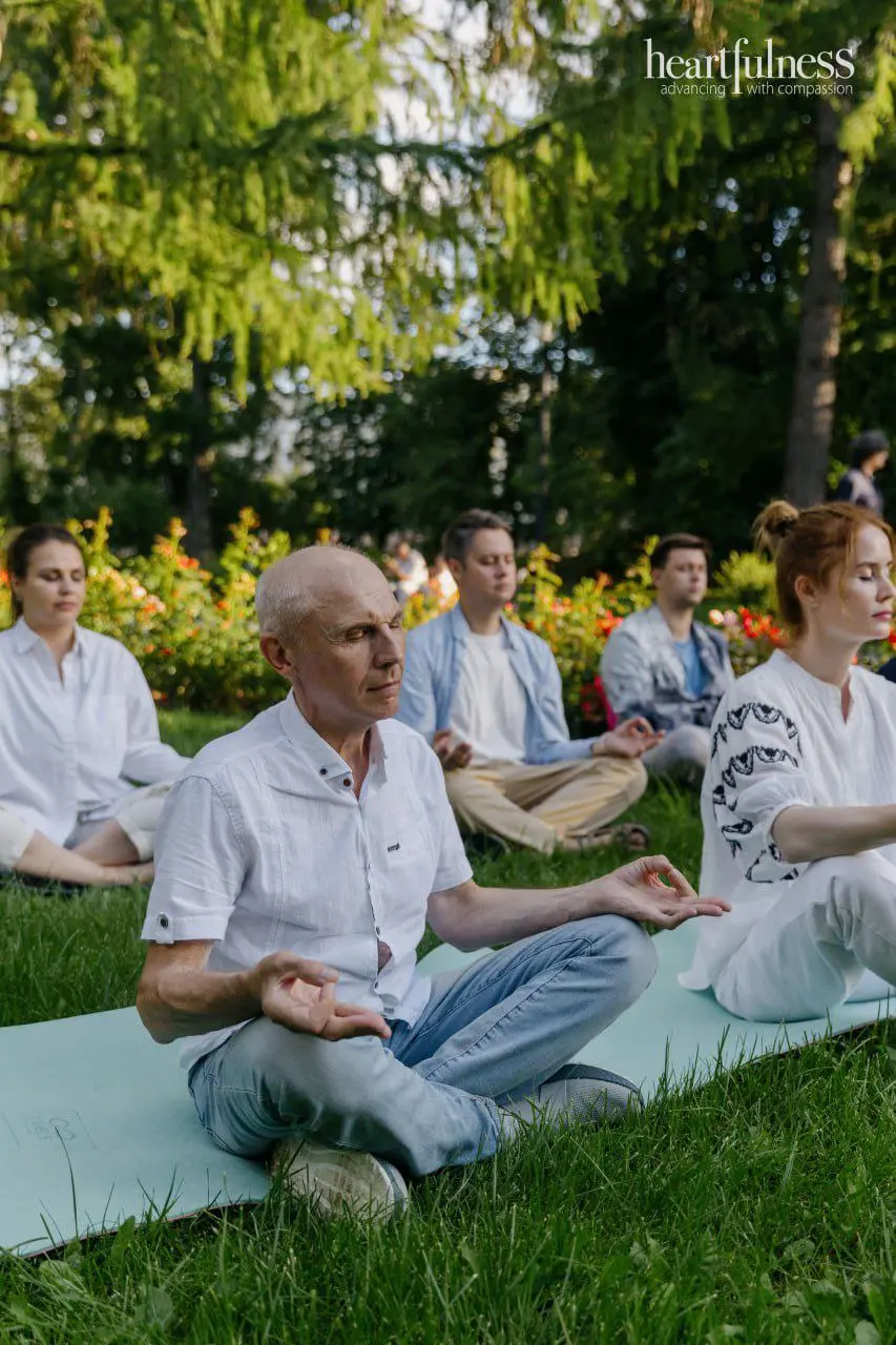 Медитации в парках и библиотеке