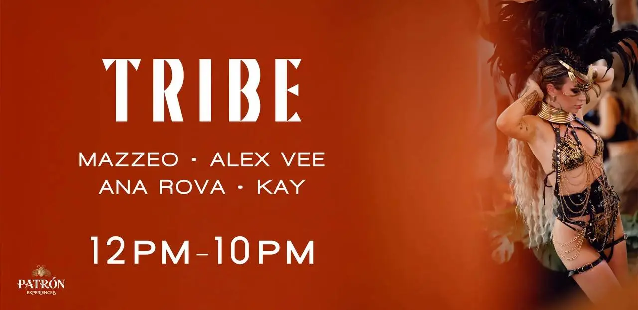 TRIBE возвращается