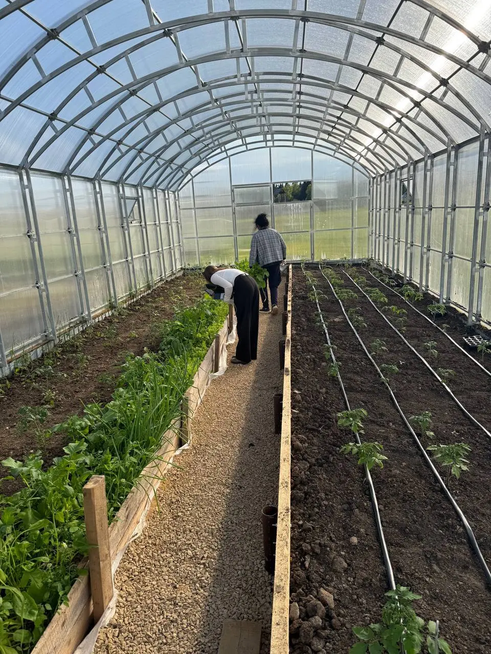 Дыхание земли: Как мы возрождаем традиции и ждём Вас на «Месяц в деревне»