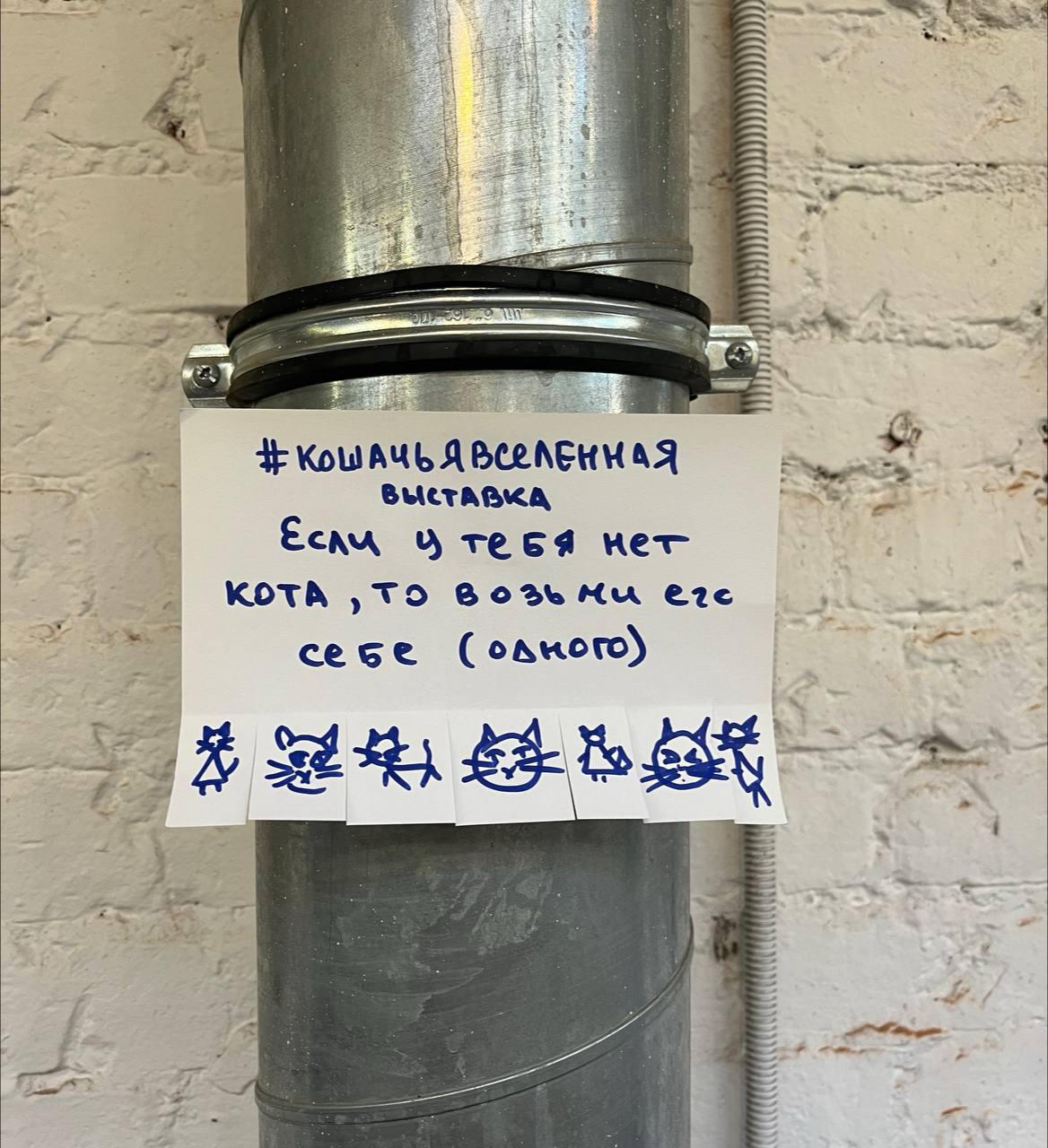 Выставка-фестиваль "Кошачья Вселенная"