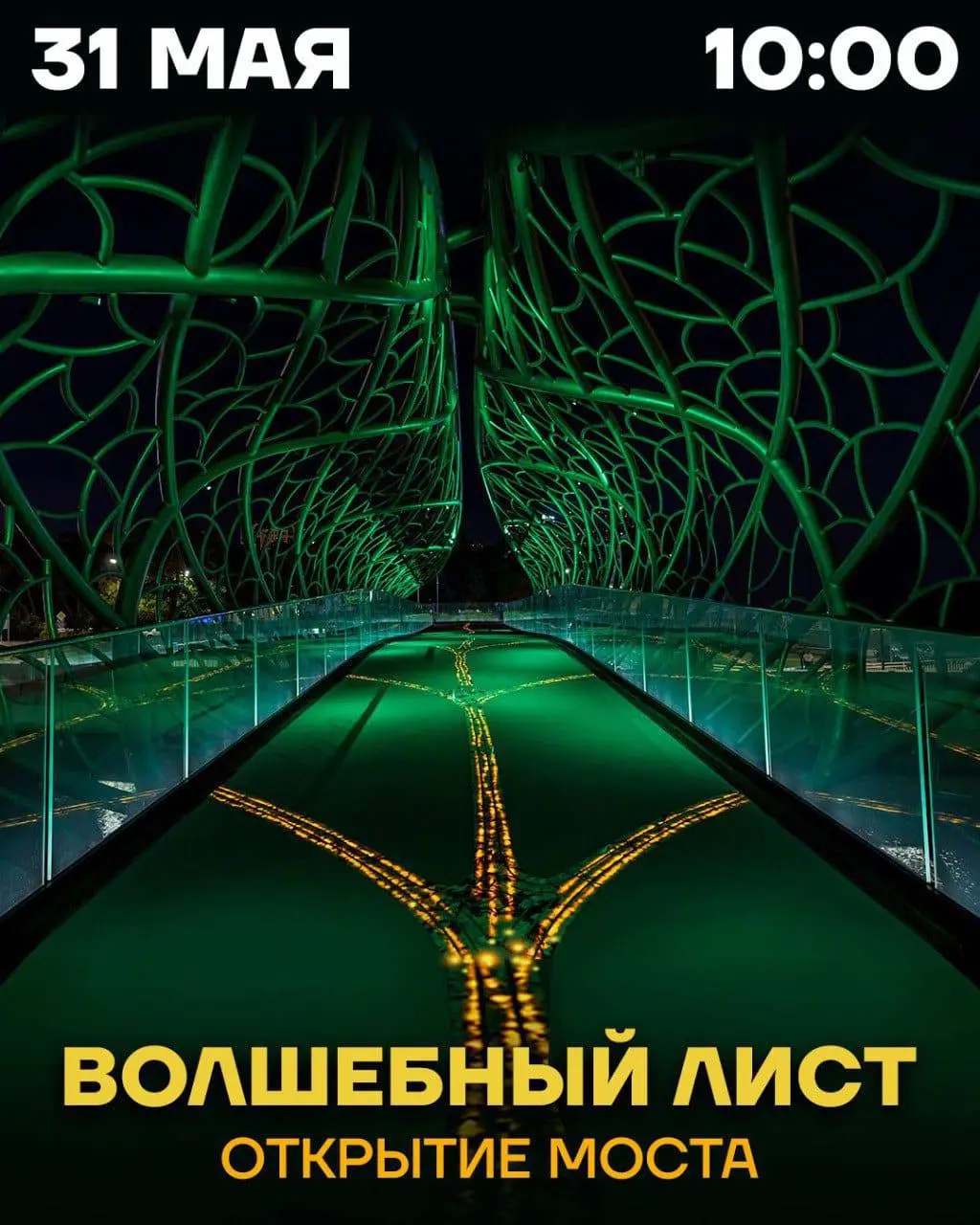 Праздник в честь запуска пешеходного моста «Волшебный лист» и обновлённой набережной в Сочи