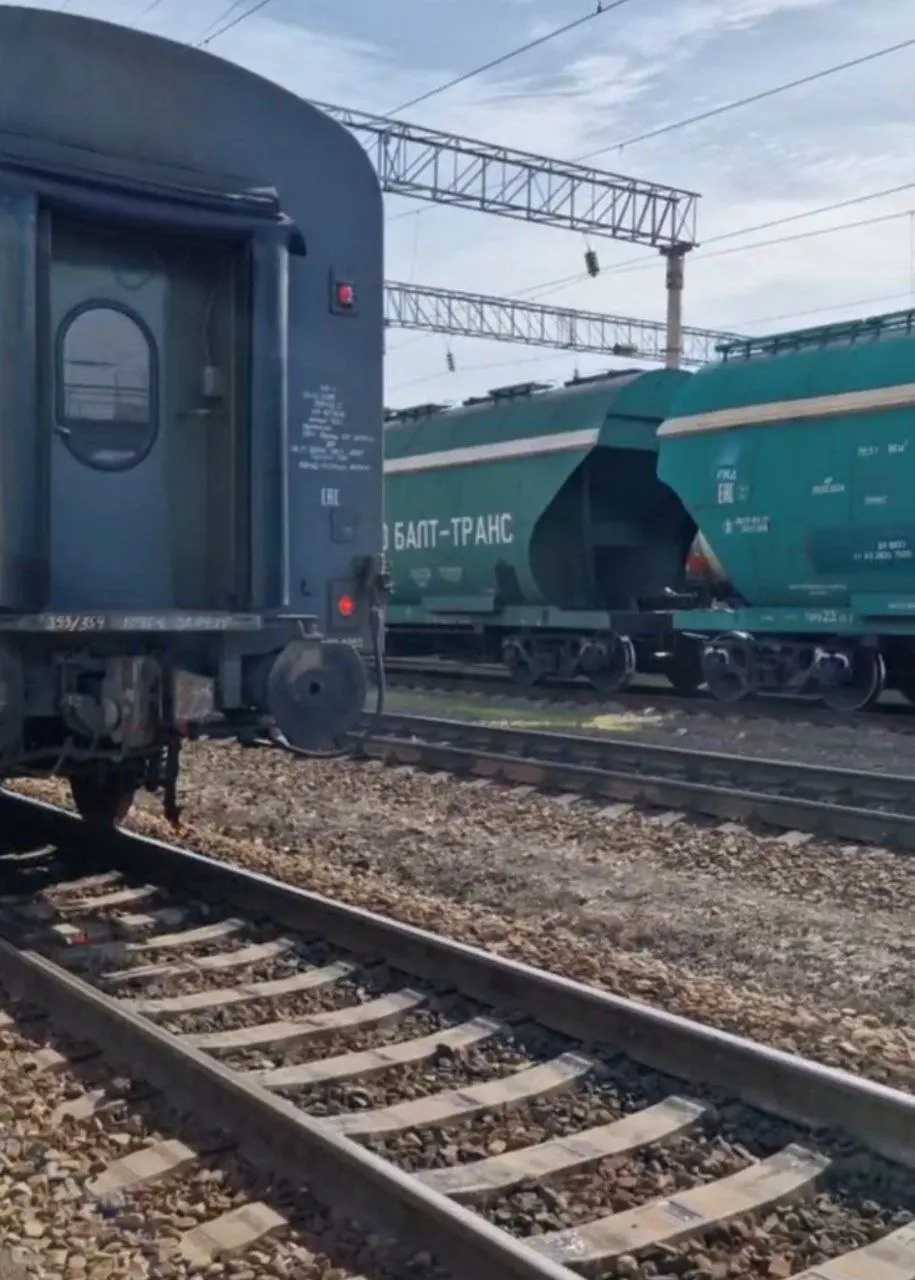 Дополнительные «Ласточки» на Калининградской магистрали с 1 июня 2025 года