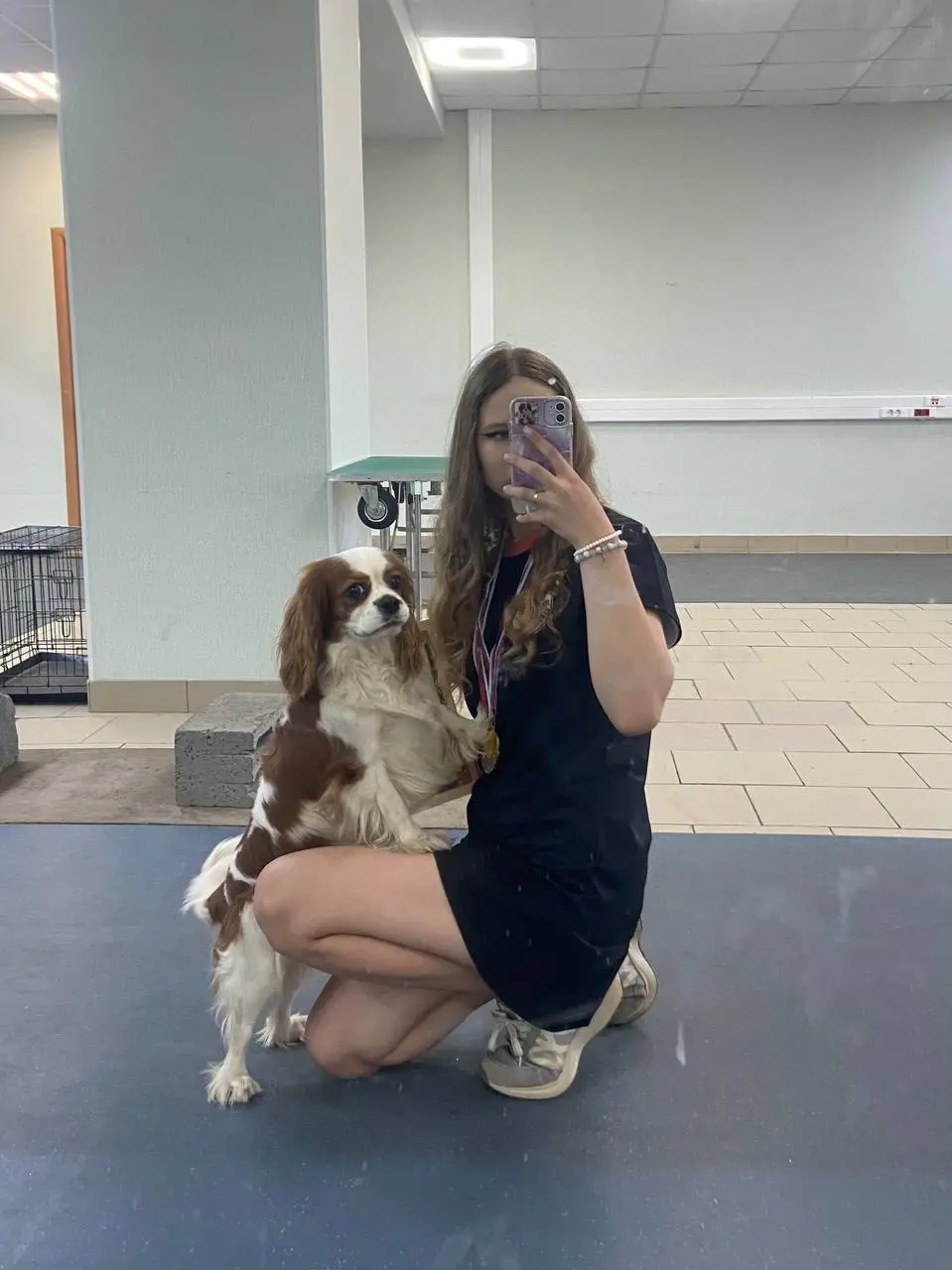 Детский спортивный и выставочный тренинг и соревнования с собаками