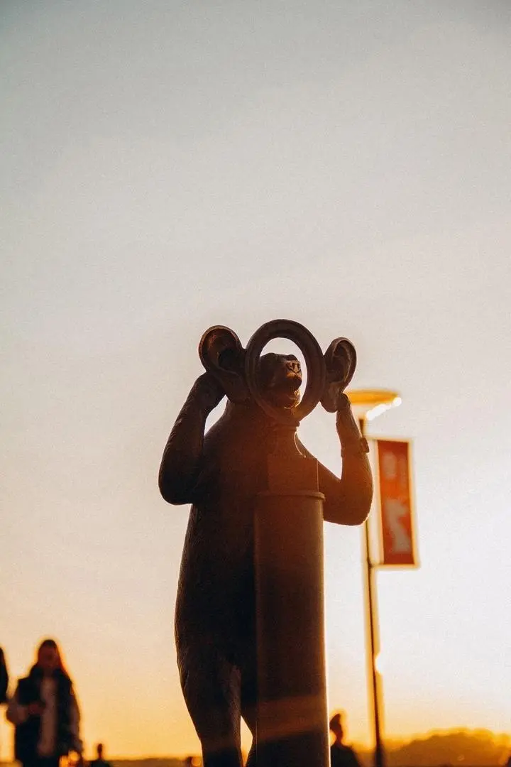 Мишки на пермской набережной на закате