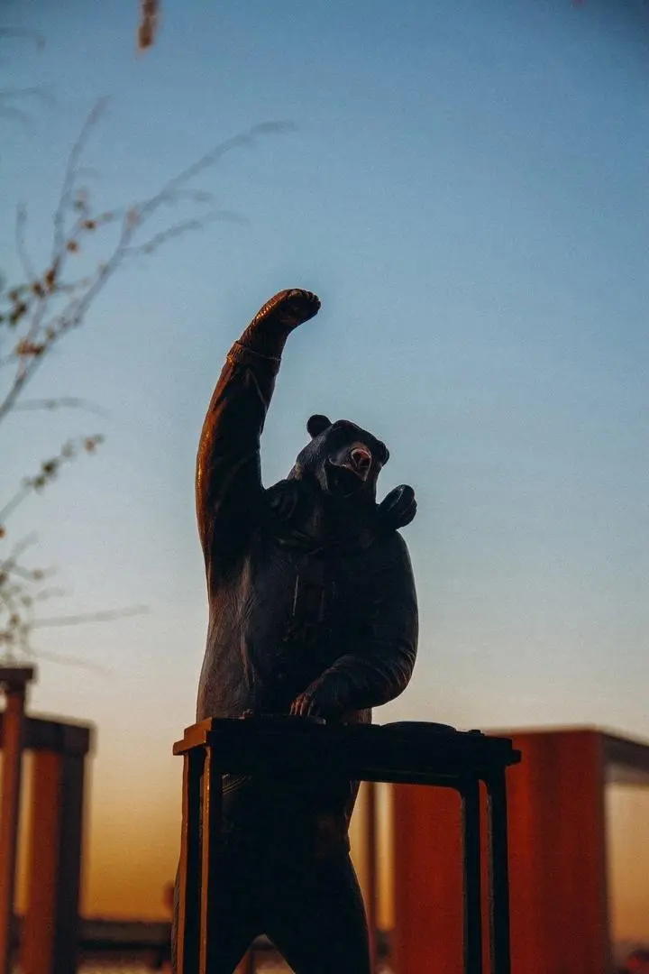 Мишки на пермской набережной на закате