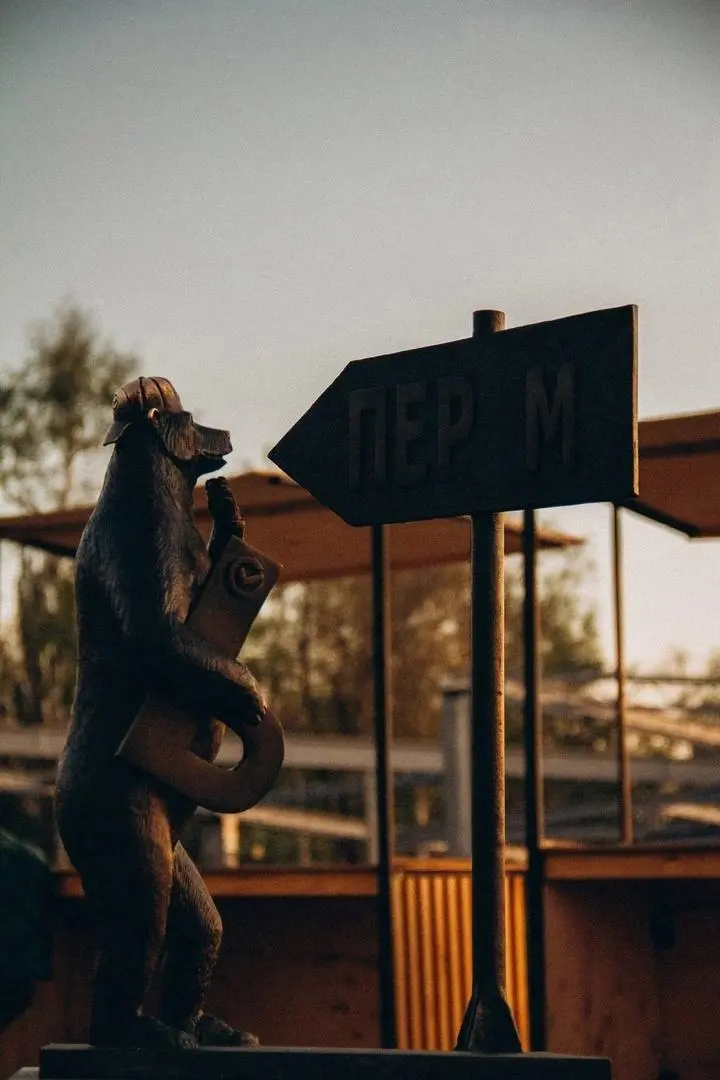 Мишки на пермской набережной на закате